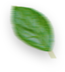 arden-naturel-slider-yaban-mersini-ozu- (1)