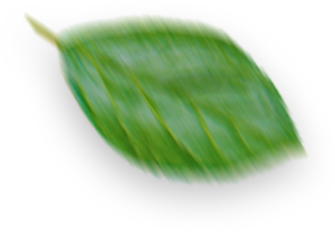 arden-naturel-slider-yaban-mersini-ozu- (3)