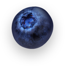 arden-naturel-slider-yaban-mersini-ozu- (4)