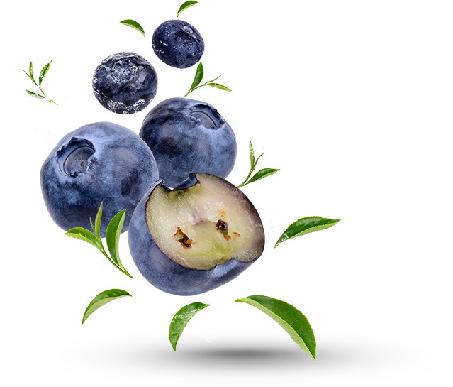 arden-naturel-slider-yaban-mersini-ozu- (9)